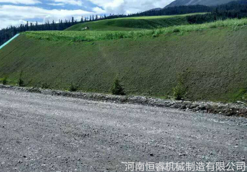 祁连至俄堡公路边坡绿化