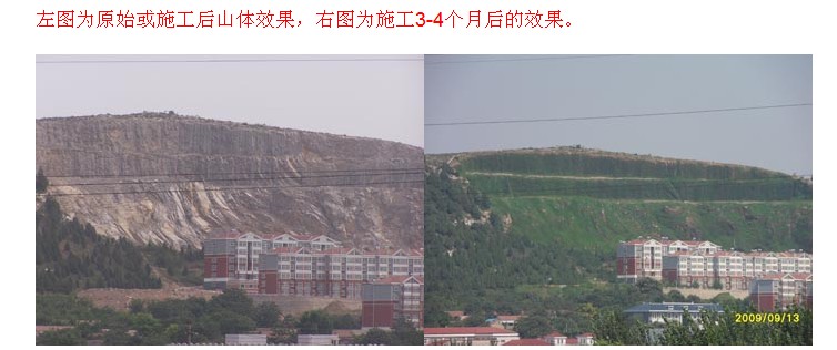 边坡生态