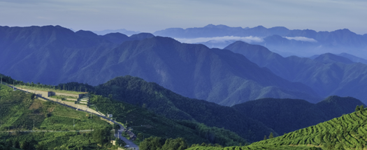 边坡绿化